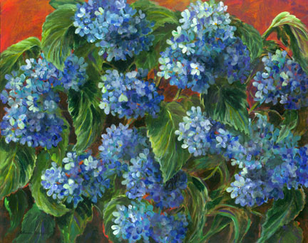 Blue Hydrangea